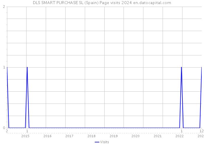 DLS SMART PURCHASE SL (Spain) Page visits 2024 