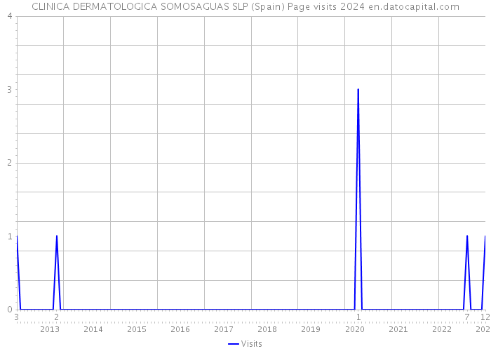 CLINICA DERMATOLOGICA SOMOSAGUAS SLP (Spain) Page visits 2024 