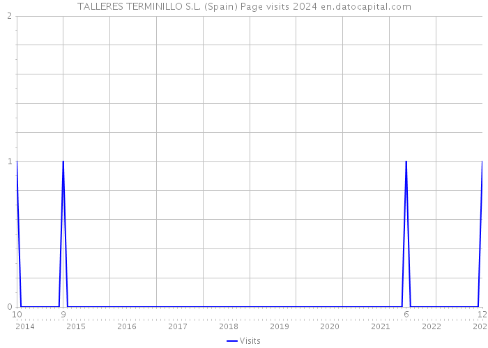 TALLERES TERMINILLO S.L. (Spain) Page visits 2024 