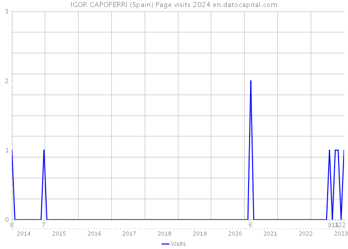 IGOR CAPOFERRI (Spain) Page visits 2024 