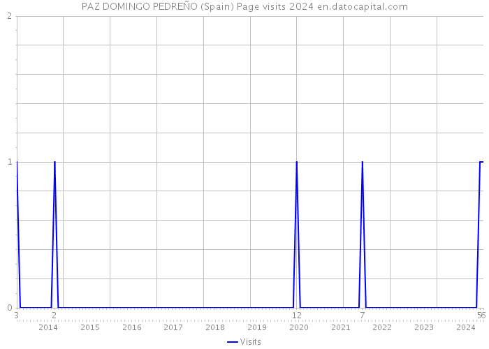 PAZ DOMINGO PEDREÑO (Spain) Page visits 2024 