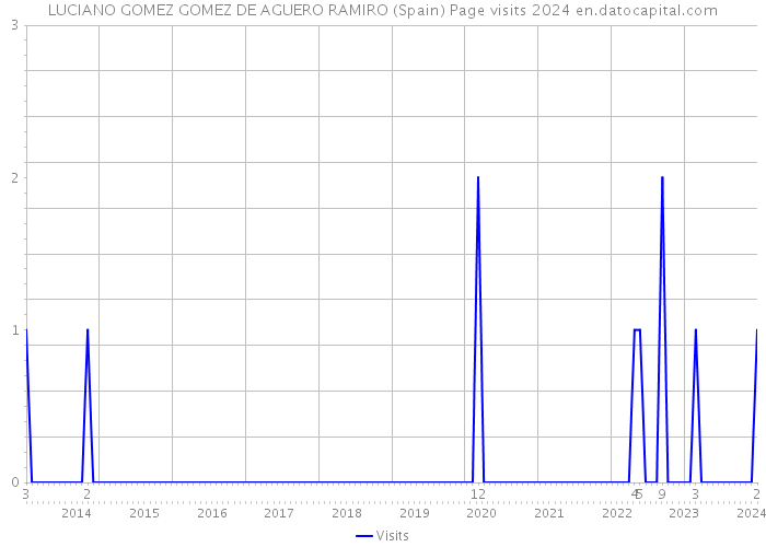 LUCIANO GOMEZ GOMEZ DE AGUERO RAMIRO (Spain) Page visits 2024 
