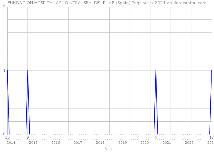 FUNDACION HOSPITAL ASILO NTRA. SRA. DEL PILAR (Spain) Page visits 2024 