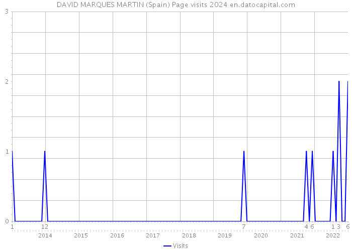 DAVID MARQUES MARTIN (Spain) Page visits 2024 