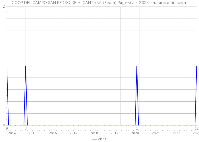 COOP DEL CAMPO SAN PEDRO DE ALCANTARA (Spain) Page visits 2024 