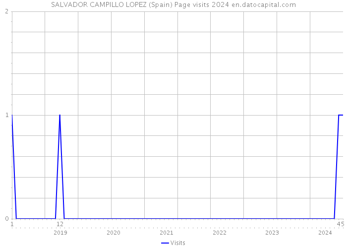SALVADOR CAMPILLO LOPEZ (Spain) Page visits 2024 