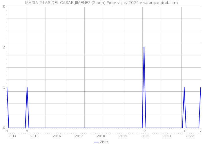 MARIA PILAR DEL CASAR JIMENEZ (Spain) Page visits 2024 