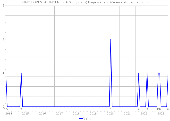 PINO FORESTAL INGENIERIA S.L. (Spain) Page visits 2024 