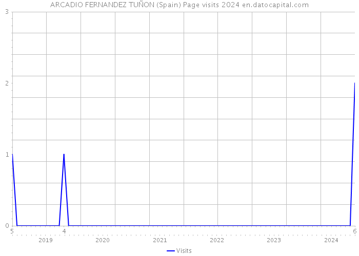 ARCADIO FERNANDEZ TUÑON (Spain) Page visits 2024 