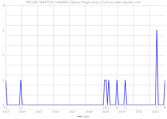 MIGUEL MARTOS CAMARA (Spain) Page visits 2024 