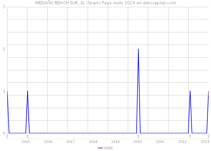 MEDAÑO BEACH SUR, SL (Spain) Page visits 2024 