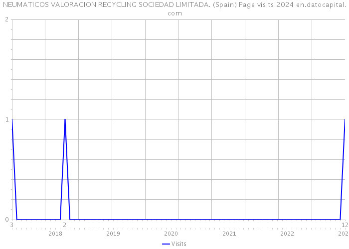 NEUMATICOS VALORACION RECYCLING SOCIEDAD LIMITADA. (Spain) Page visits 2024 