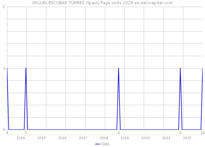 MIGUEL ESCOBAR TORRES (Spain) Page visits 2024 