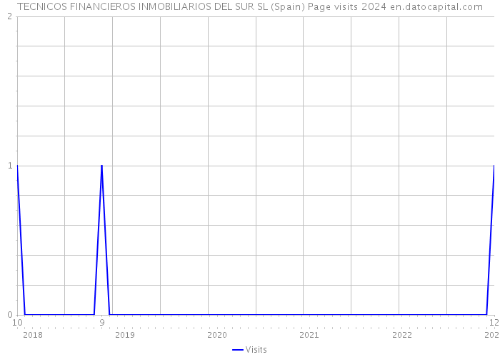TECNICOS FINANCIEROS INMOBILIARIOS DEL SUR SL (Spain) Page visits 2024 