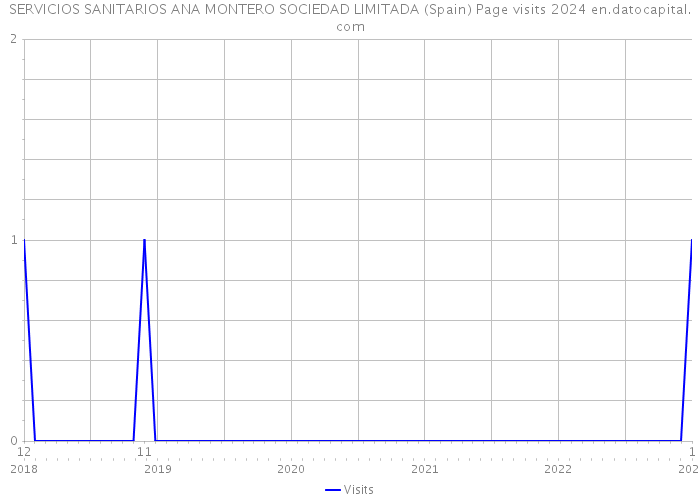SERVICIOS SANITARIOS ANA MONTERO SOCIEDAD LIMITADA (Spain) Page visits 2024 