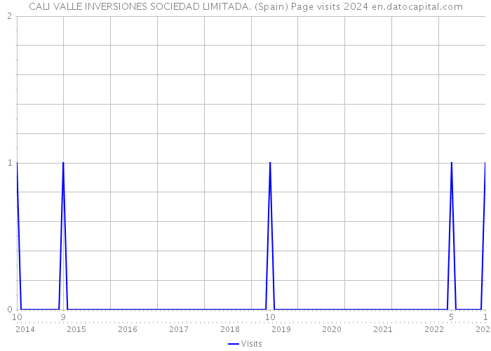 CALI VALLE INVERSIONES SOCIEDAD LIMITADA. (Spain) Page visits 2024 