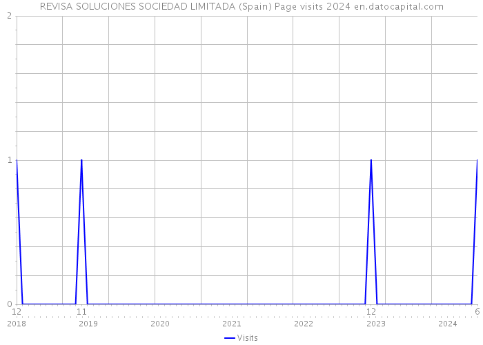 REVISA SOLUCIONES SOCIEDAD LIMITADA (Spain) Page visits 2024 