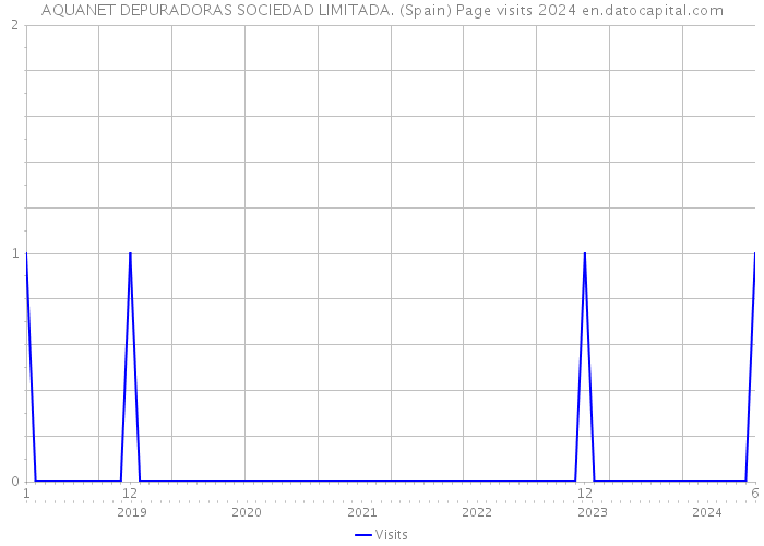 AQUANET DEPURADORAS SOCIEDAD LIMITADA. (Spain) Page visits 2024 