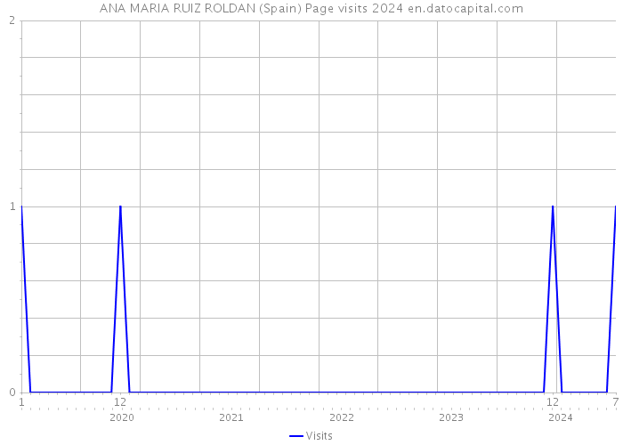 ANA MARIA RUIZ ROLDAN (Spain) Page visits 2024 