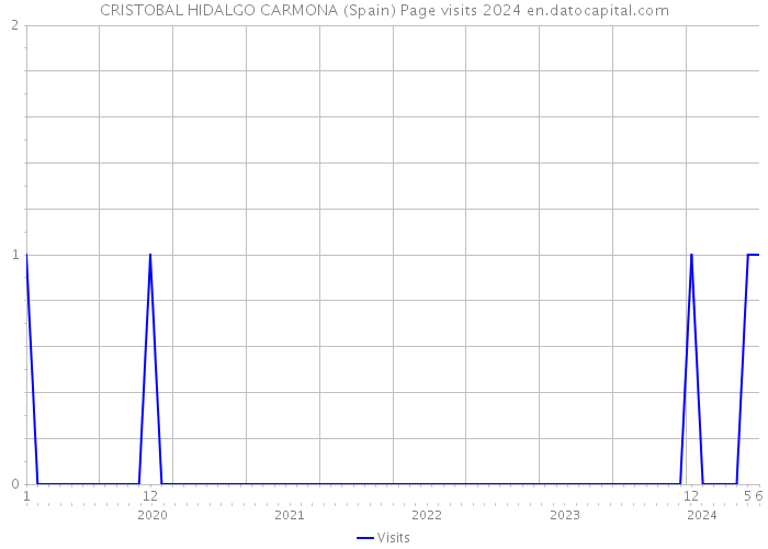 CRISTOBAL HIDALGO CARMONA (Spain) Page visits 2024 