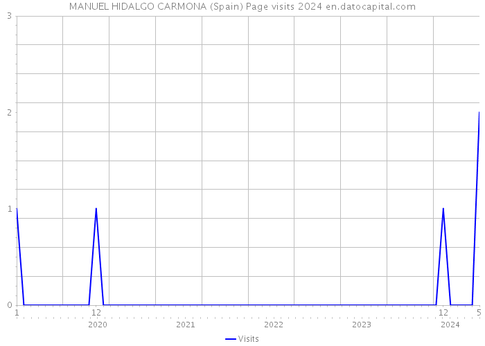 MANUEL HIDALGO CARMONA (Spain) Page visits 2024 
