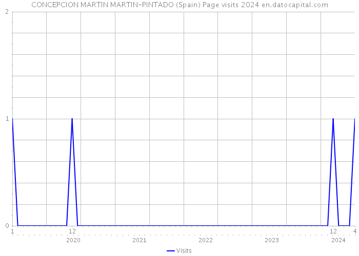 CONCEPCION MARTIN MARTIN-PINTADO (Spain) Page visits 2024 