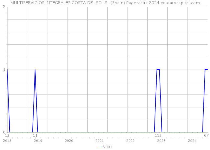 MULTISERVICIOS INTEGRALES COSTA DEL SOL SL (Spain) Page visits 2024 