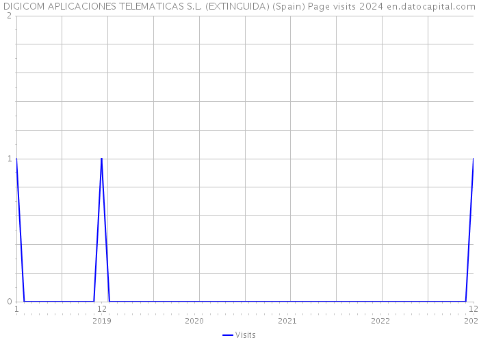 DIGICOM APLICACIONES TELEMATICAS S.L. (EXTINGUIDA) (Spain) Page visits 2024 