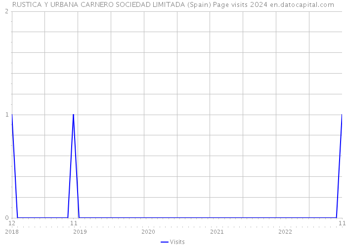 RUSTICA Y URBANA CARNERO SOCIEDAD LIMITADA (Spain) Page visits 2024 