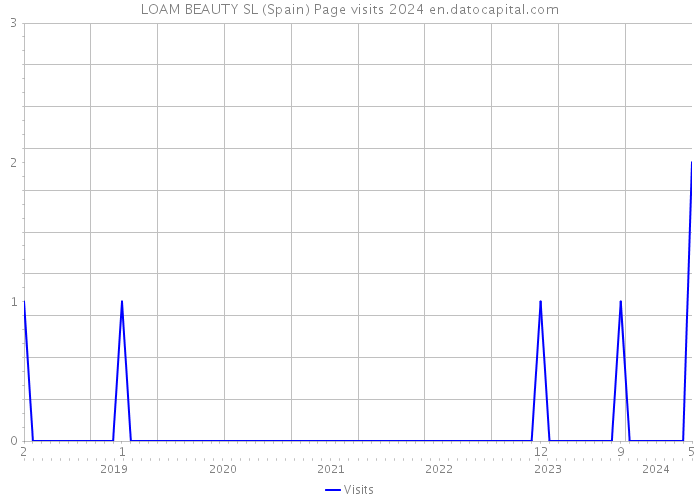 LOAM BEAUTY SL (Spain) Page visits 2024 