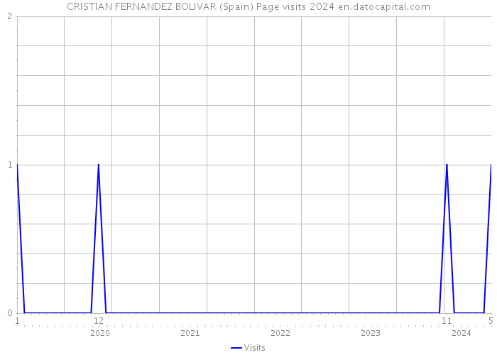 CRISTIAN FERNANDEZ BOLIVAR (Spain) Page visits 2024 