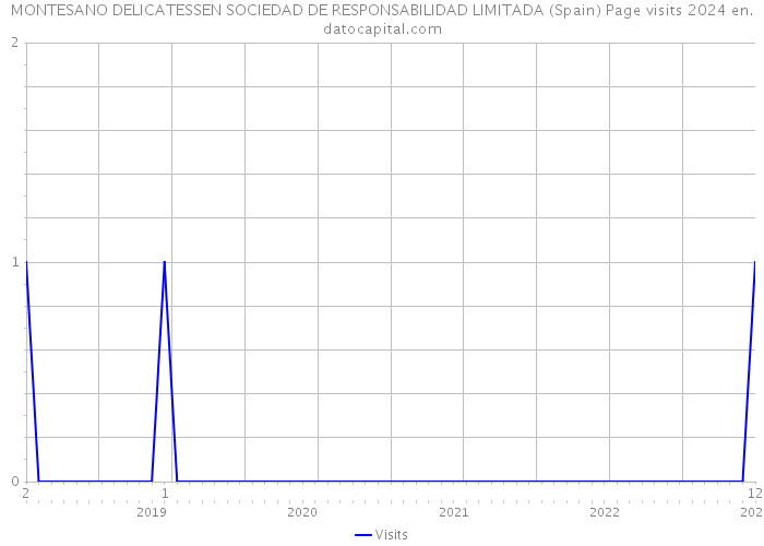 MONTESANO DELICATESSEN SOCIEDAD DE RESPONSABILIDAD LIMITADA (Spain) Page visits 2024 