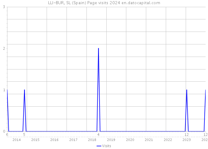LLI-BUR, SL (Spain) Page visits 2024 