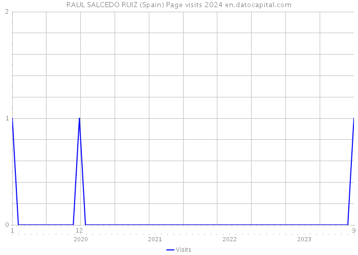 RAUL SALCEDO RUIZ (Spain) Page visits 2024 