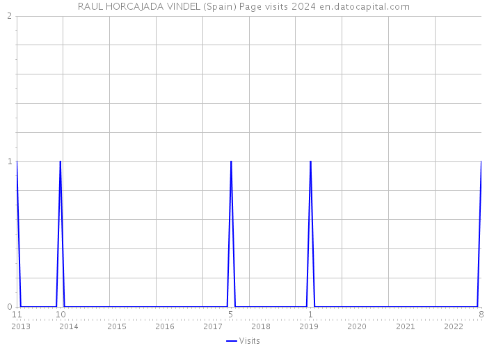 RAUL HORCAJADA VINDEL (Spain) Page visits 2024 