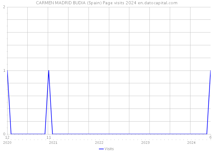 CARMEN MADRID BUDIA (Spain) Page visits 2024 