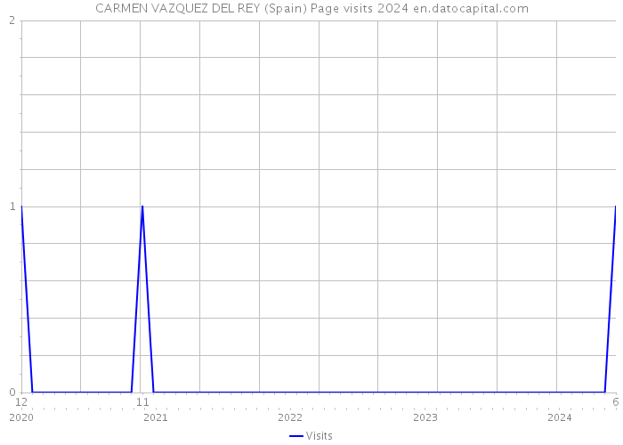 CARMEN VAZQUEZ DEL REY (Spain) Page visits 2024 