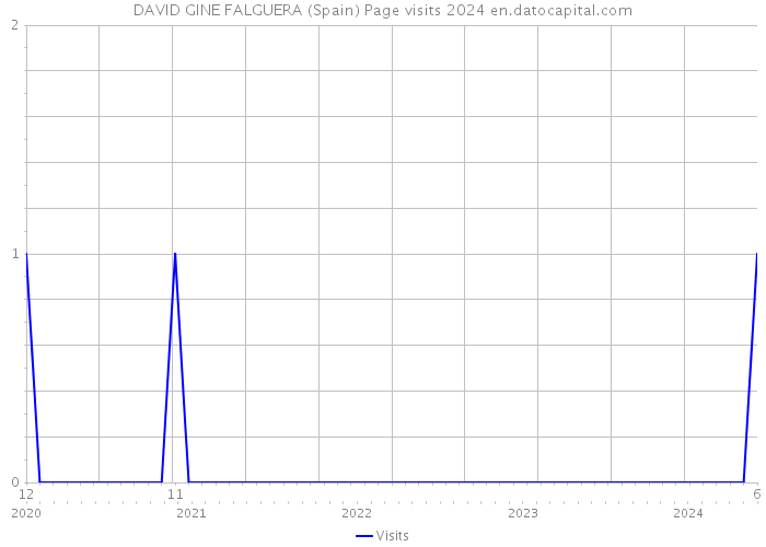 DAVID GINE FALGUERA (Spain) Page visits 2024 