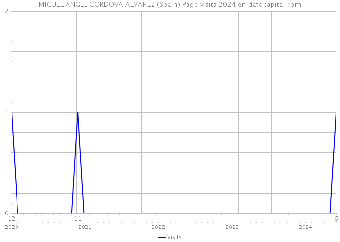 MIGUEL ANGEL CORDOVA ALVAREZ (Spain) Page visits 2024 