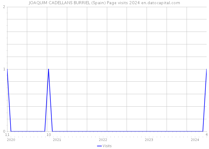 JOAQUIM CADELLANS BURRIEL (Spain) Page visits 2024 