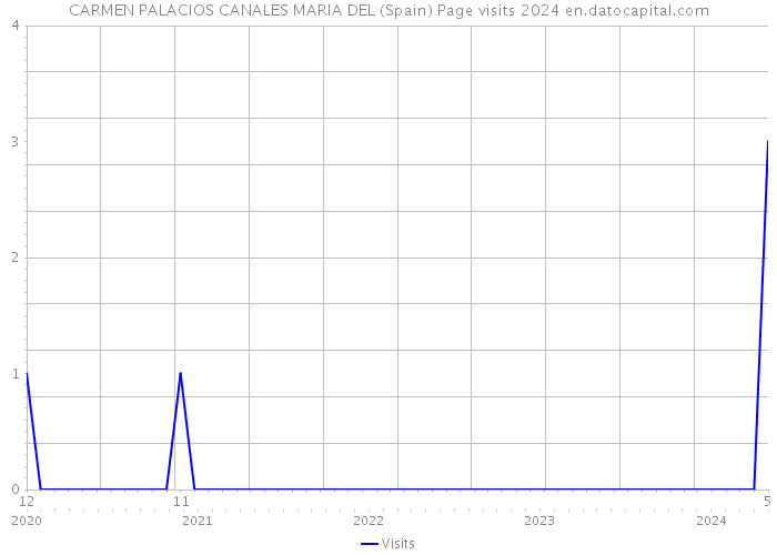 CARMEN PALACIOS CANALES MARIA DEL (Spain) Page visits 2024 