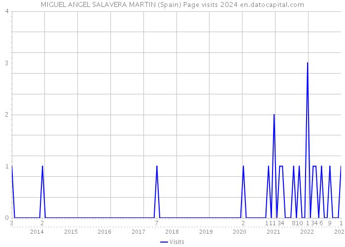 MIGUEL ANGEL SALAVERA MARTIN (Spain) Page visits 2024 