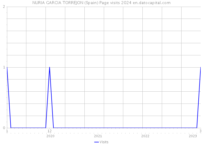 NURIA GARCIA TORREJON (Spain) Page visits 2024 