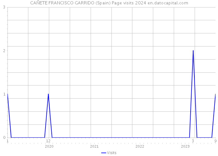 CAÑETE FRANCISCO GARRIDO (Spain) Page visits 2024 