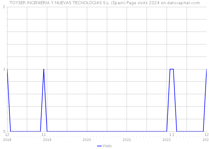 TOYSER INGENIERIA Y NUEVAS TECNOLOGIAS S.L. (Spain) Page visits 2024 