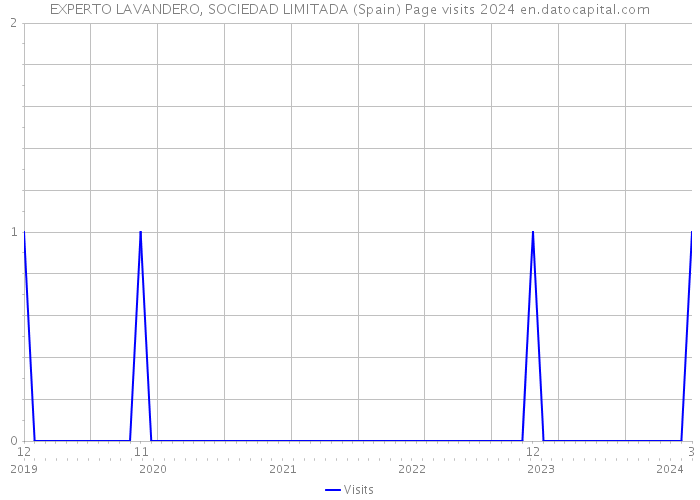 EXPERTO LAVANDERO, SOCIEDAD LIMITADA (Spain) Page visits 2024 