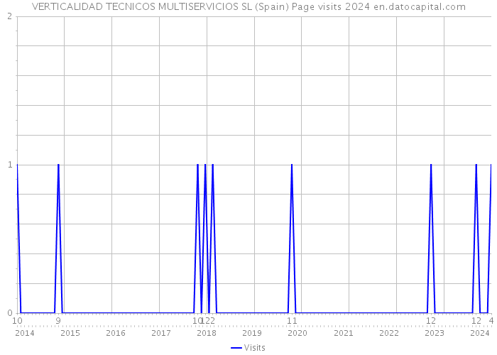VERTICALIDAD TECNICOS MULTISERVICIOS SL (Spain) Page visits 2024 