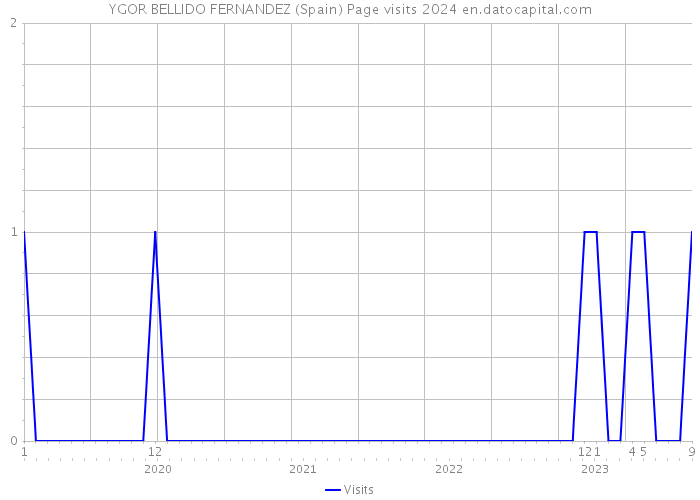 YGOR BELLIDO FERNANDEZ (Spain) Page visits 2024 