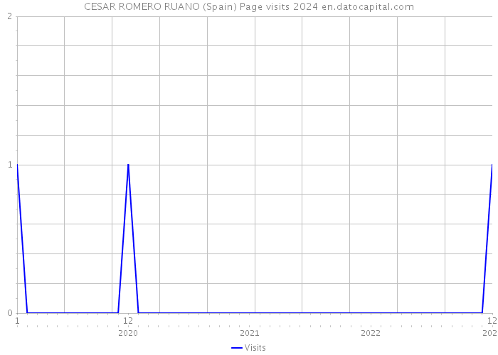 CESAR ROMERO RUANO (Spain) Page visits 2024 