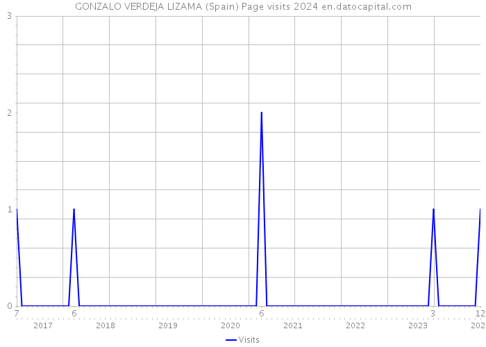 GONZALO VERDEJA LIZAMA (Spain) Page visits 2024 